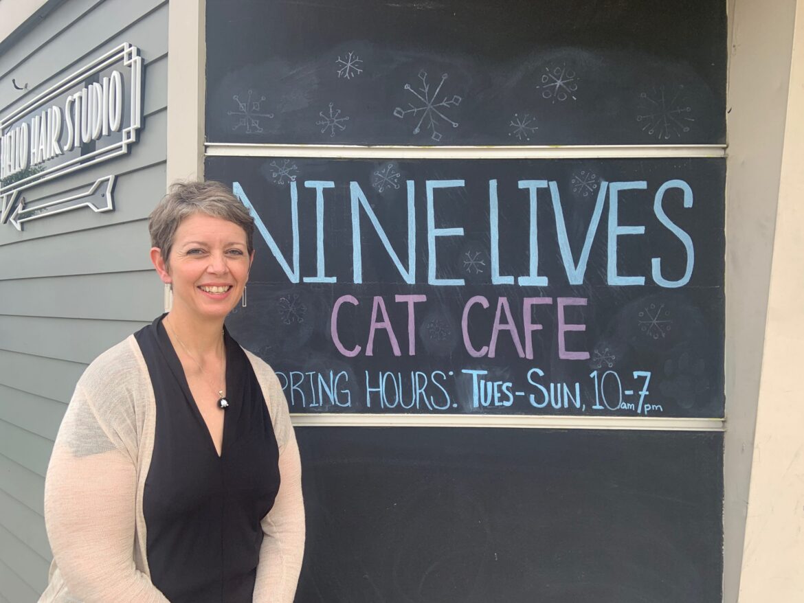 Nearing 1000 adoptions: Nine Lives Cat Café to hold a celebratory event as its adoptions continue to grow